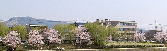 学校紹介